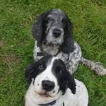 Phil Elms - @elm.clear - Instagram
