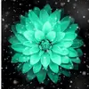 philipernestina5629 - @philipernestina56 - TikTok
