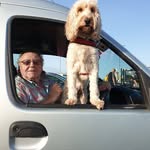 Philip Farrelly - @philipfarrelly57 - Instagram