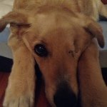 @philipferrohr - Instagram