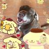 Philip Fields - @look.sexual_hookup_u16 - TikTok