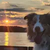 Phil Folsom - @phil.folsom - TikTok