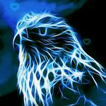 philip.fuchs - @philip.fuchs6707 - Instagram