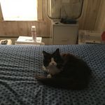 Philip Gallant - @philip.gallant.9 - Instagram