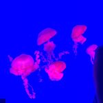 Phillip Gallant - @phillip.gallant.14 - Instagram
