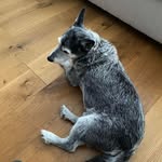 Philip Garner - @philipgarner22 - Instagram