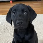 Philip Garner - @forever2thee - Instagram