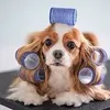 phil.gaskin - @phil.gaskin - TikTok