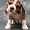 Philipp Neugebaue729 - @philipp.neugebauer - TikTok
