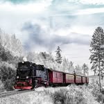 Philip Gentry - @philip_gentry3965355 - Instagram