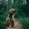 philipgerlach - @philipgerlach - TikTok