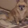 philipgoff - @philipgoff - TikTok