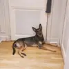 Philippe Le Goff - @philippe.le.goff2 - TikTok