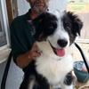 Philip Gooch - @philip.gooch - TikTok
