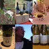 Philippe Granger858 - @philippegranger28 - TikTok