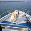 Philippe Granger - @philippe.granger2 - TikTok