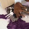 Philip Greaves - @philip.greaves3 - TikTok