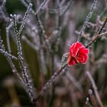 Philip Grey - @lens_m42 - Instagram