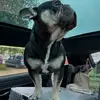 Philip Grey - @philip.grey0 - TikTok