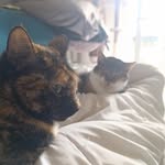 Philippe Grillot - @grillotphilippe - Instagram