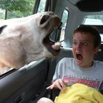Philip Hancock - @tolaas_bluue - Instagram