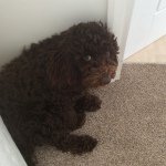 Philip Hancock - @philjhancock - Instagram