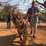 Phil Whitehill - @philip_handyman - Instagram