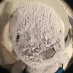 Philip Harrington - @phil_the_magic_rabbit - Instagram