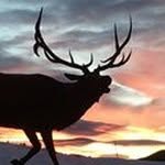 Philip Head - @philip.head - Instagram