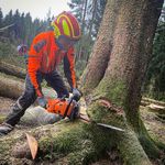 Philipp Helm - @philipphelm - Instagram