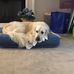 Philip Hildreth - Facebook