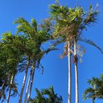 Philip Horan - @philipahoran - Instagram