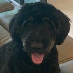 Philip Horner - @philhorner2424 - Instagram