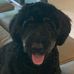 Philip Horner - Facebook