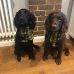 Philip Horner - @philiphorner - Instagram
