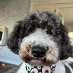 Phillip K Houck - @houck32_____ - Instagram