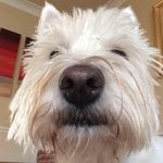 Philip Hough - @houghphilip - Instagram