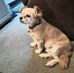 Philip Hough - Facebook