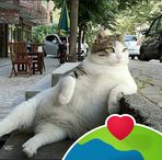 Philip Hsu - Facebook
