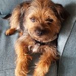 philip hudson - @philiphudson8 - Instagram