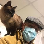 Philip Hudson - @bengothe_dog - Instagram