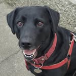 Philip Hudson - @philiphudson2142 - Instagram