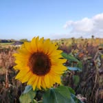 Philip Hudson - @philiphudson2920back_up_ - Instagram