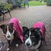 Philip Hulse - Facebook