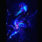philip ringold - @philip.ringold - Instagram