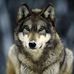 Philip Jalbert Jr. - Facebook