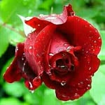Philip jean - @philipjean417 - Instagram