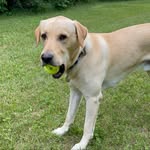 Philip Kaminski - @philip_kaminski999999 - Instagram