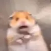 philipkaminaris6 - @philipkaminaris6 - TikTok