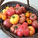 Matthew Philip Kendall - @matthewkendall4916 - Instagram